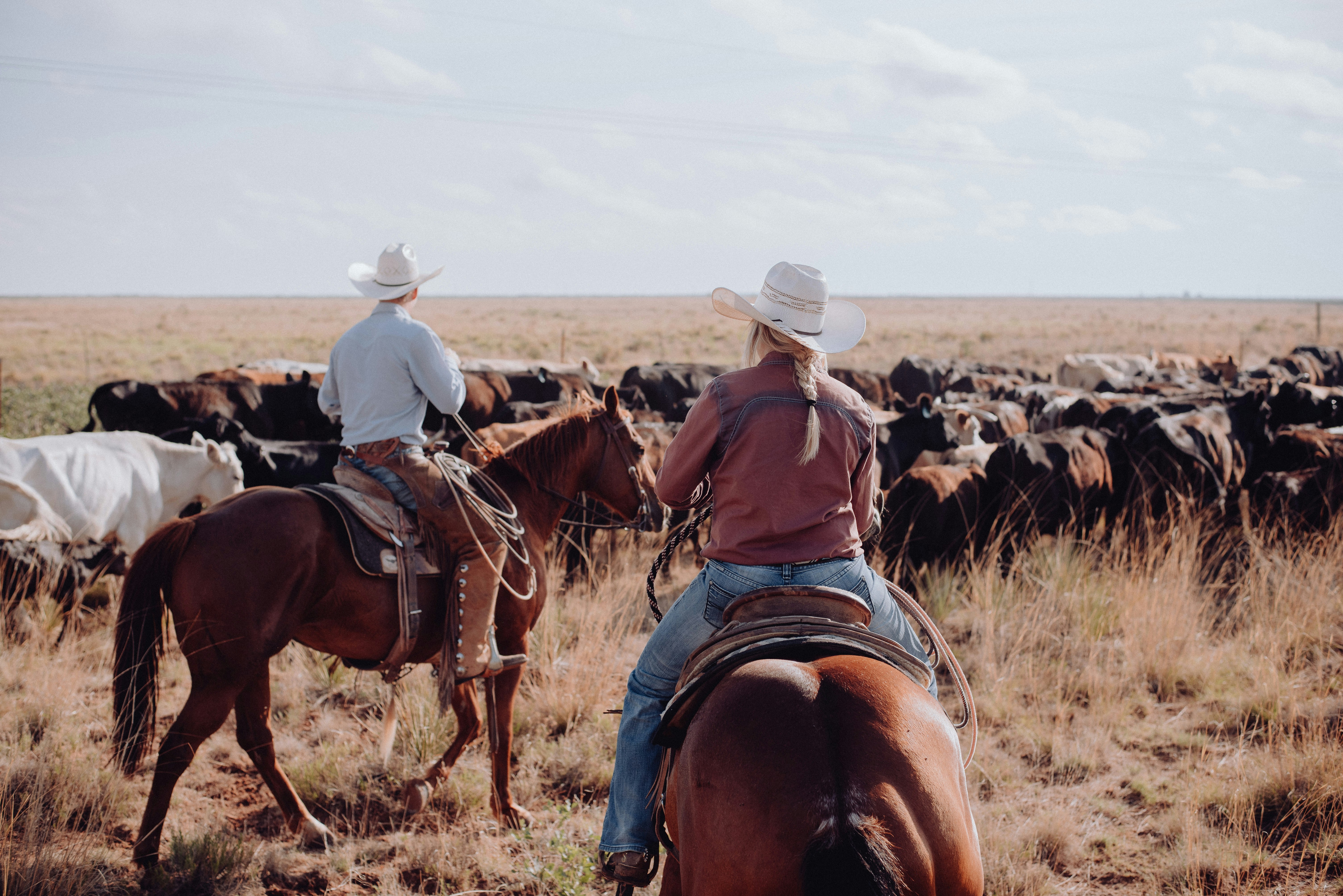 Welcome to the Ranch Journal