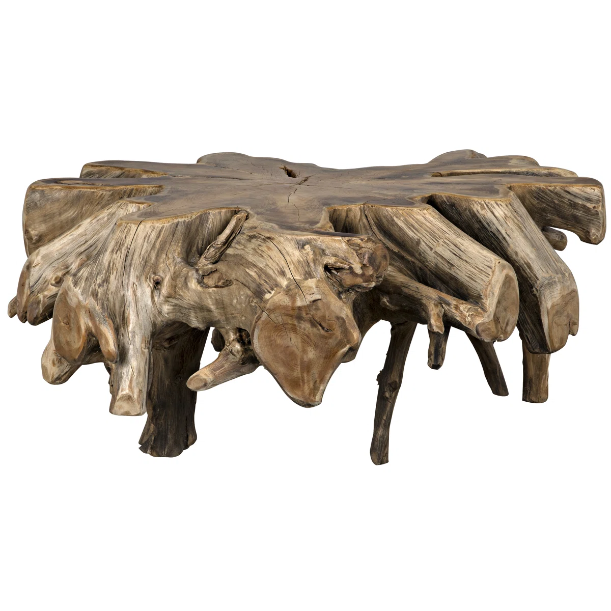Petrified Wood Coffee Table