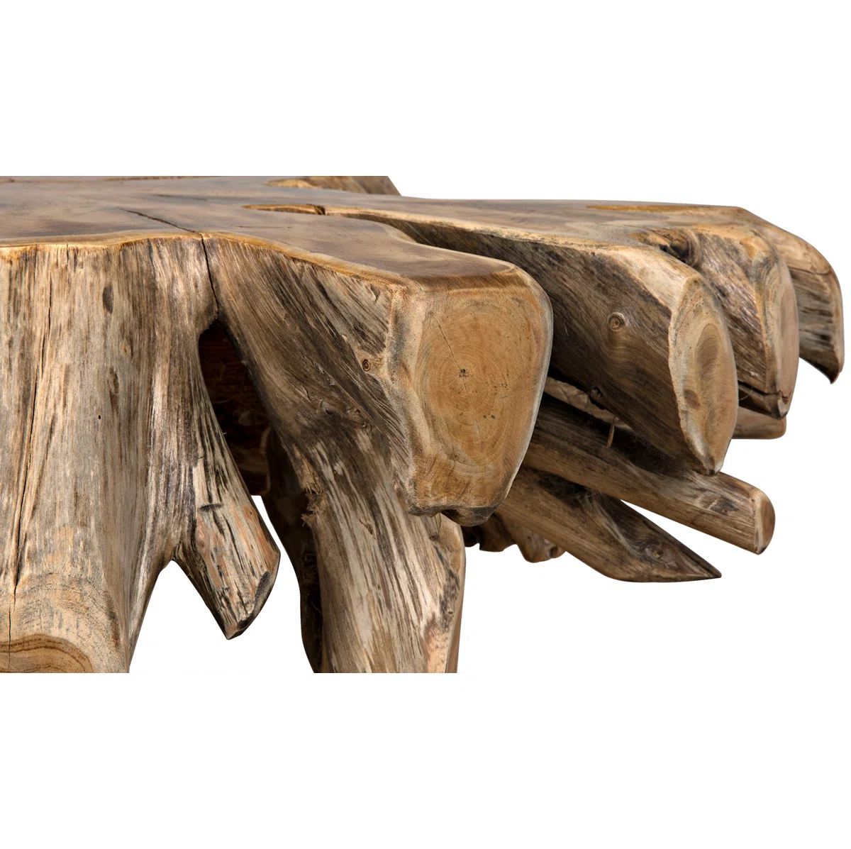 Petrified Wood Coffee Table view 4